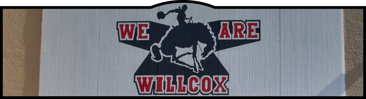 We Are Willcox